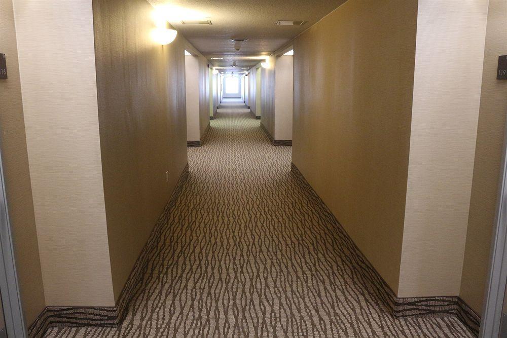 Comfort Suites Нью-Браунфелс Екстер'єр фото